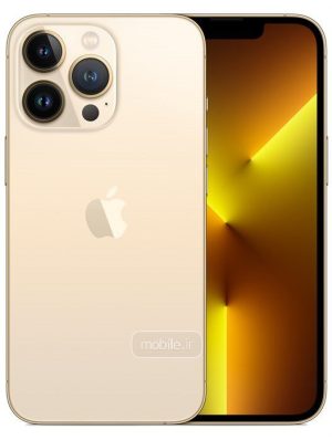 13pro