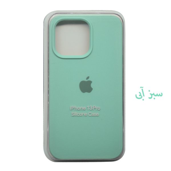 13پرو1